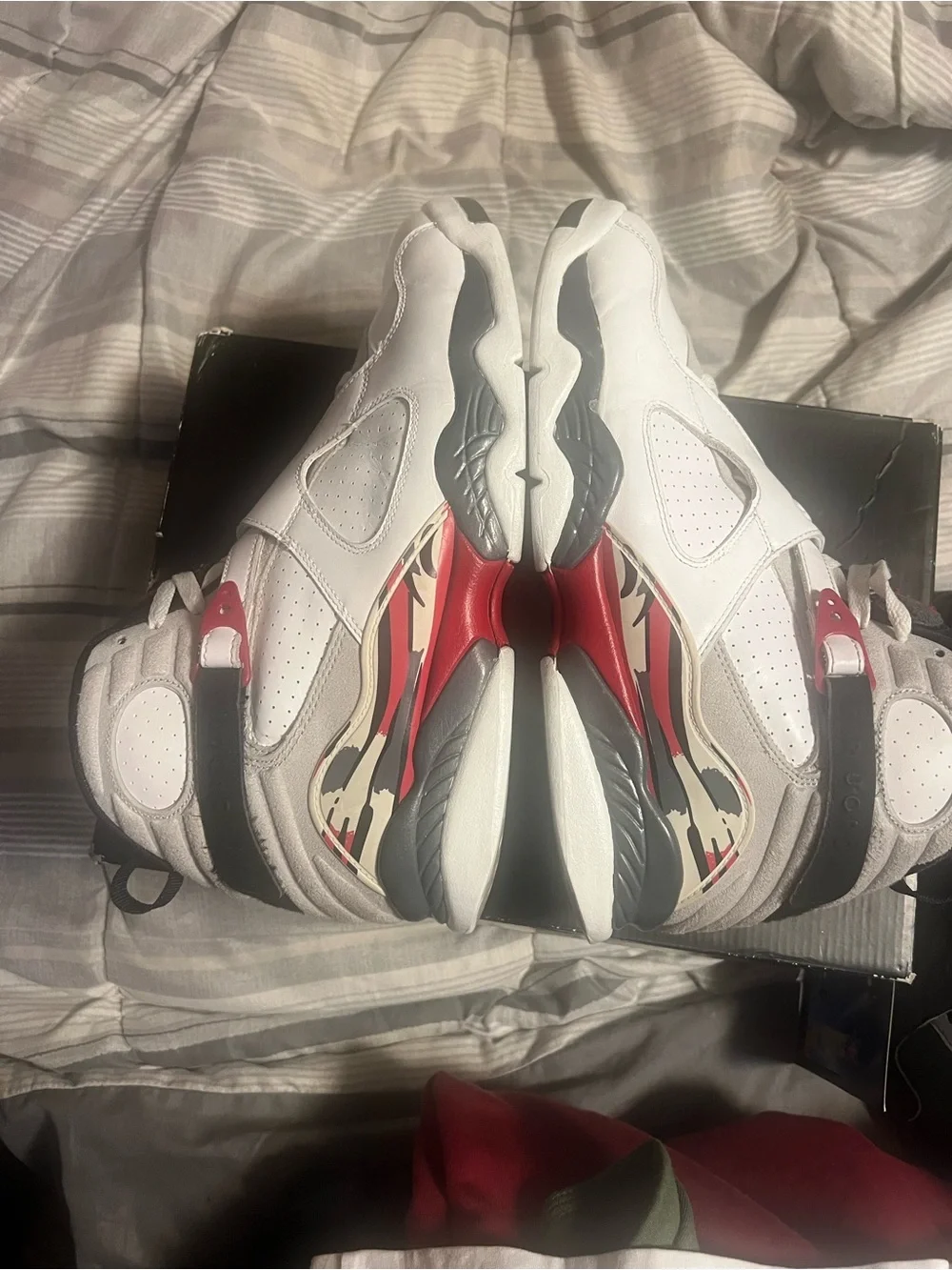 Jordan air bug